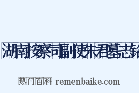 湖南按察司副使朱君墓志铭是什么意思的图片